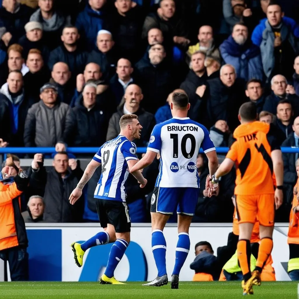 Tran Dau Bong Da Brighton Vs Wolves