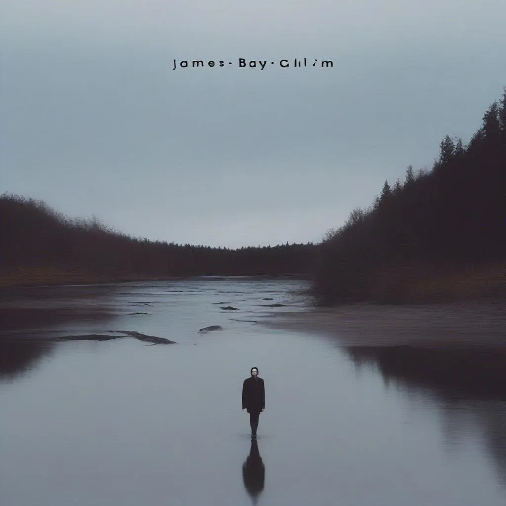 Album cover for Chaos and the Calm by James Bay