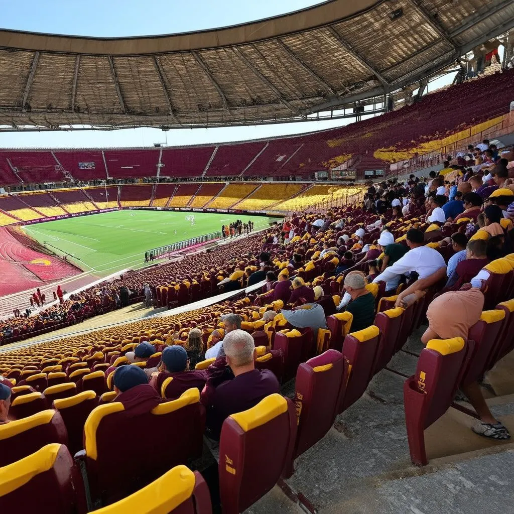 stadium-deportes-tolima