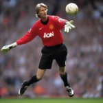 Edwin van der Sar FO3