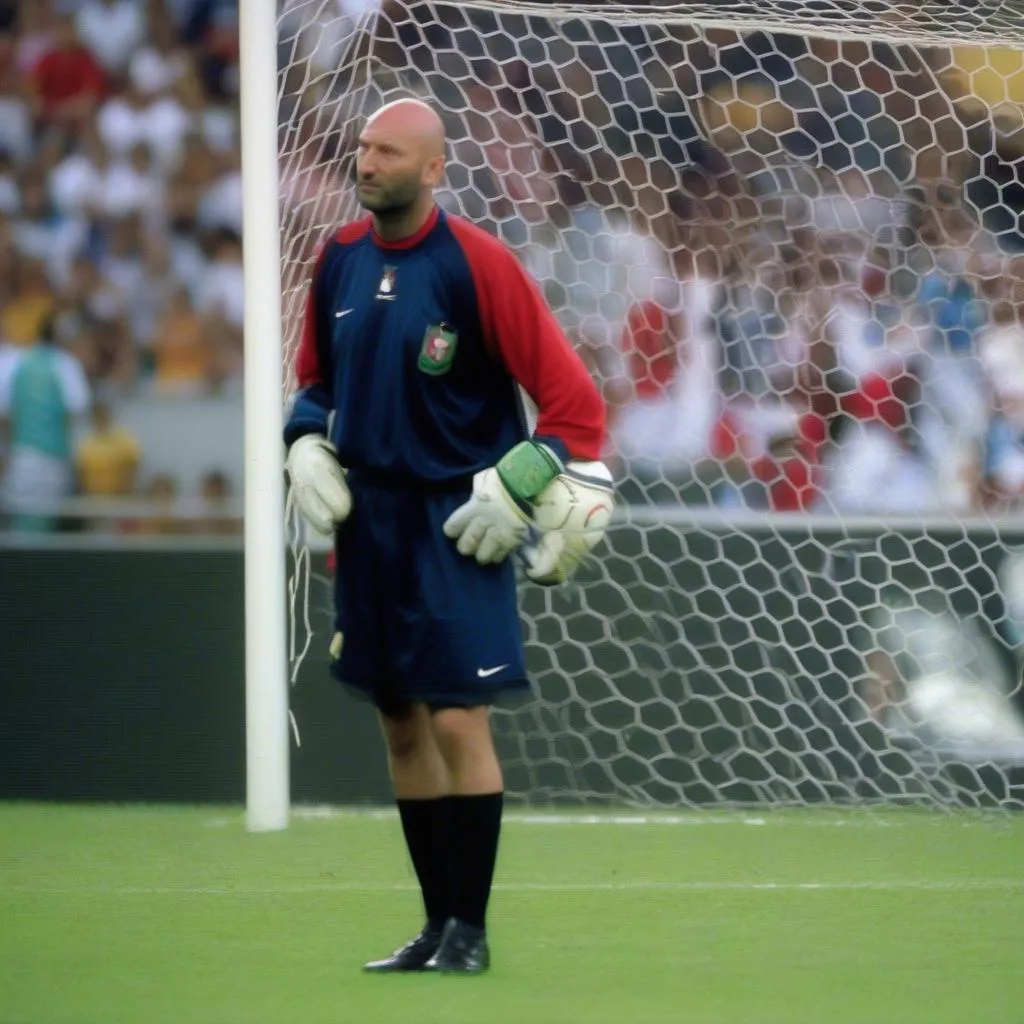 Fabien Barthez - World Cup 2006