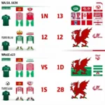 Đội hình ra sân dự kiến Iran vs Wales